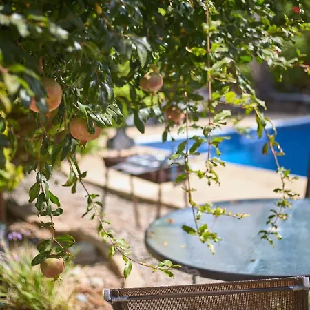 Safia - 3br Retreat With Private Pool Near Coral Bay